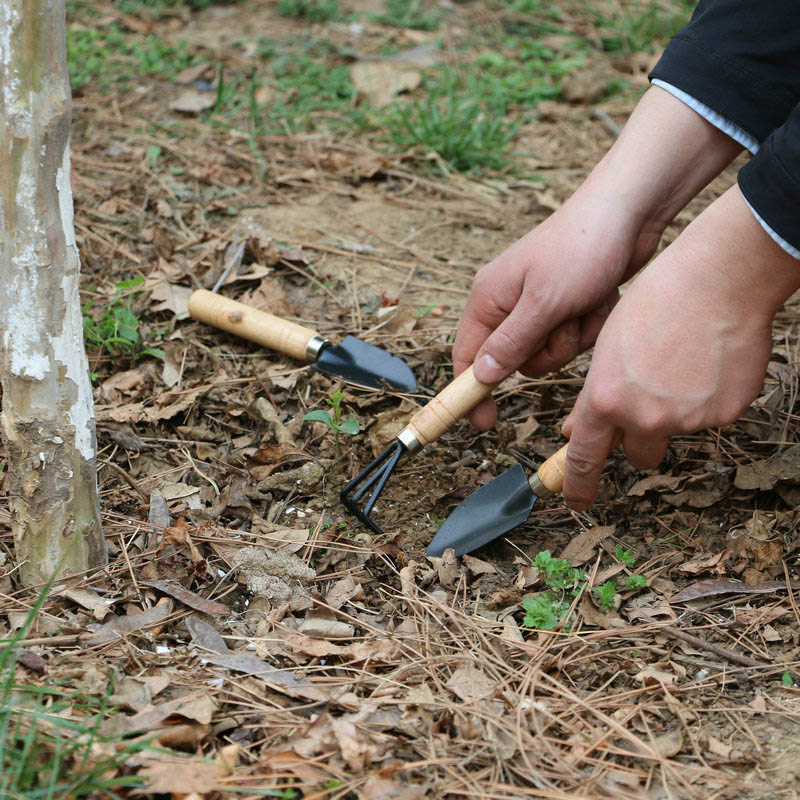 3 pçs/set mini conjunto de fer - Gardening Tools For Digging avaliação e preço