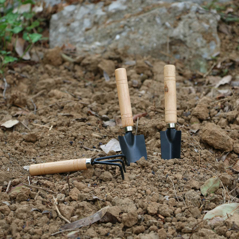3 pçs/set mini conjunto de fer - Gardening Tools For Digging avaliação e preço