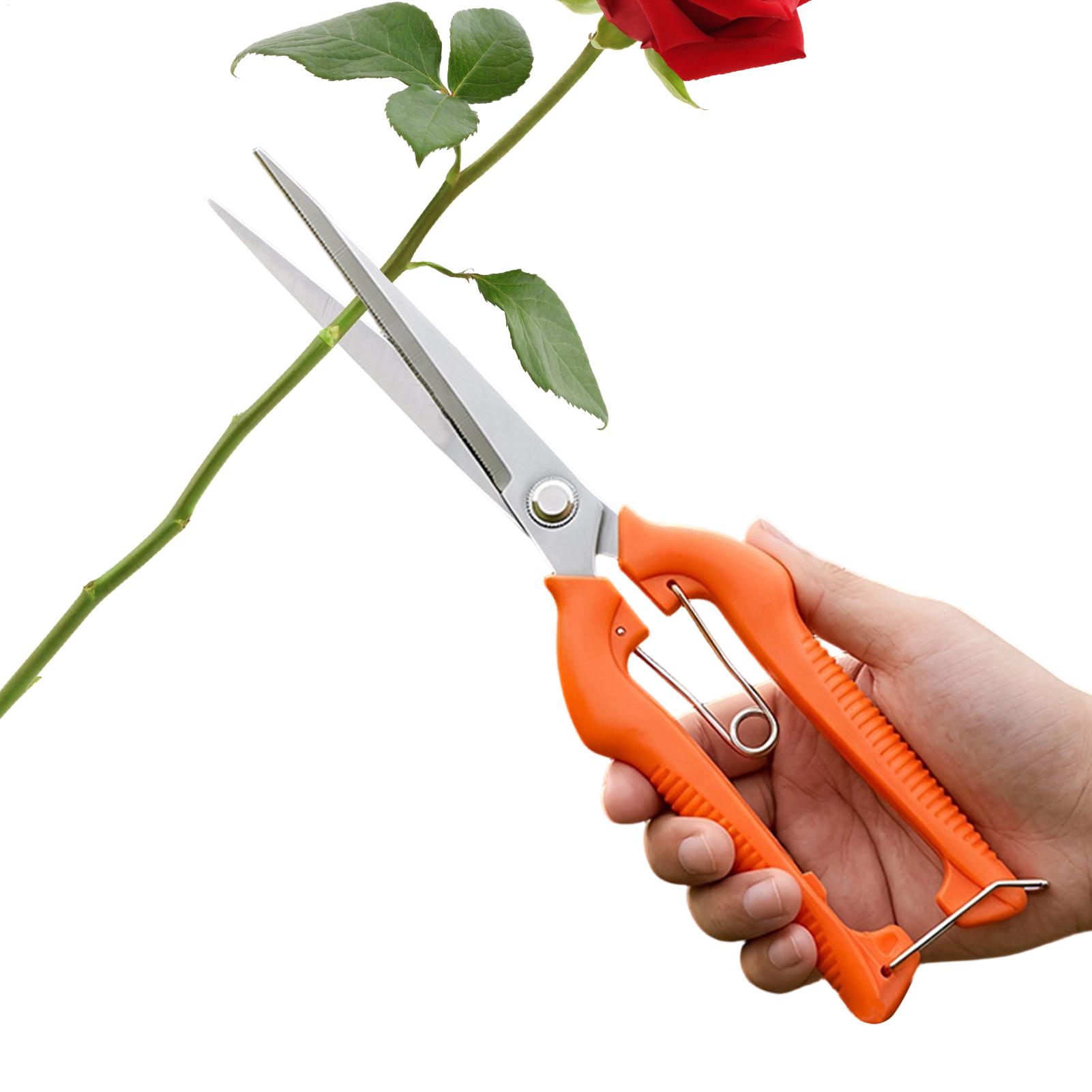 Tesoura de Poda Profissional e - Gardening Tools For Women avaliação e preço