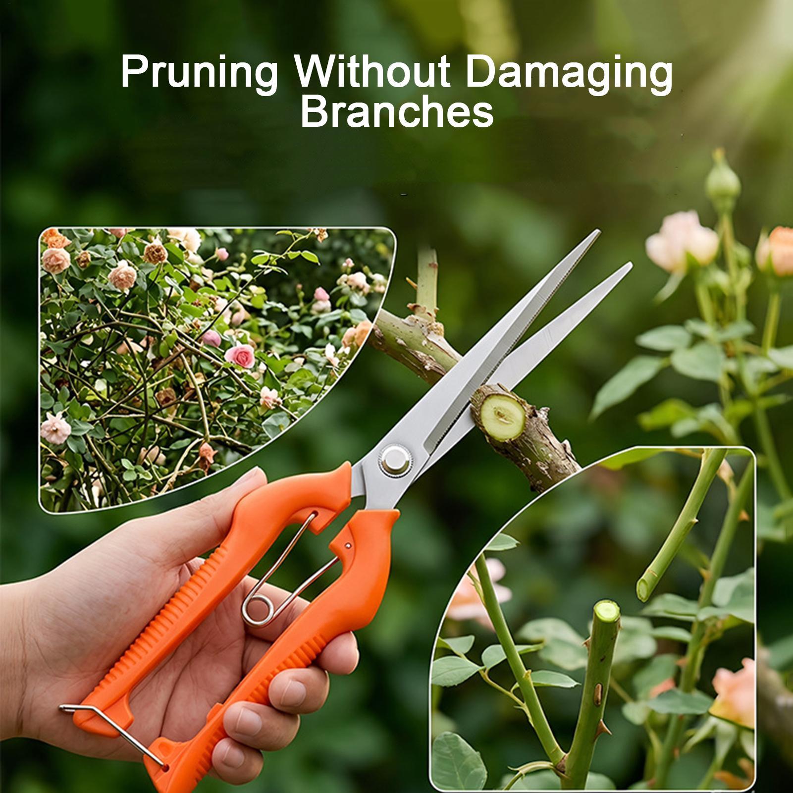 Tesoura de Poda Profissional e - Gardening Tools For Women avaliação e preço