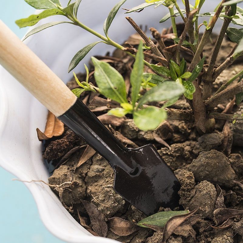 Conjunto de 3 Peças/1 Kit: Min - Gardening Tools For Digging avaliação e preço