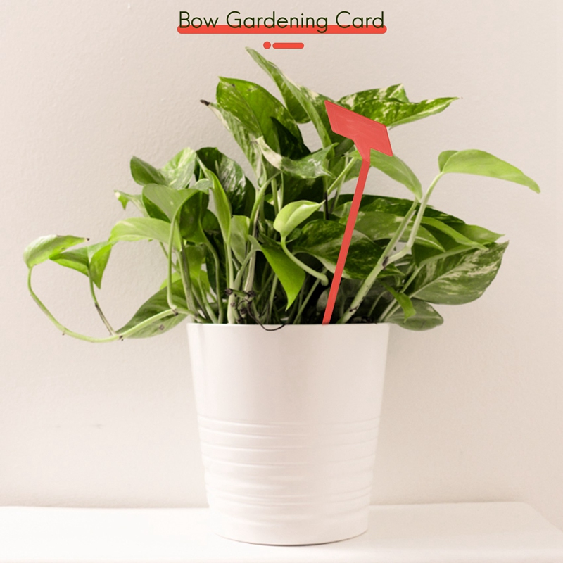 Abyp jardins ferramentas de pl - Gardening Tools Types avaliação e preço