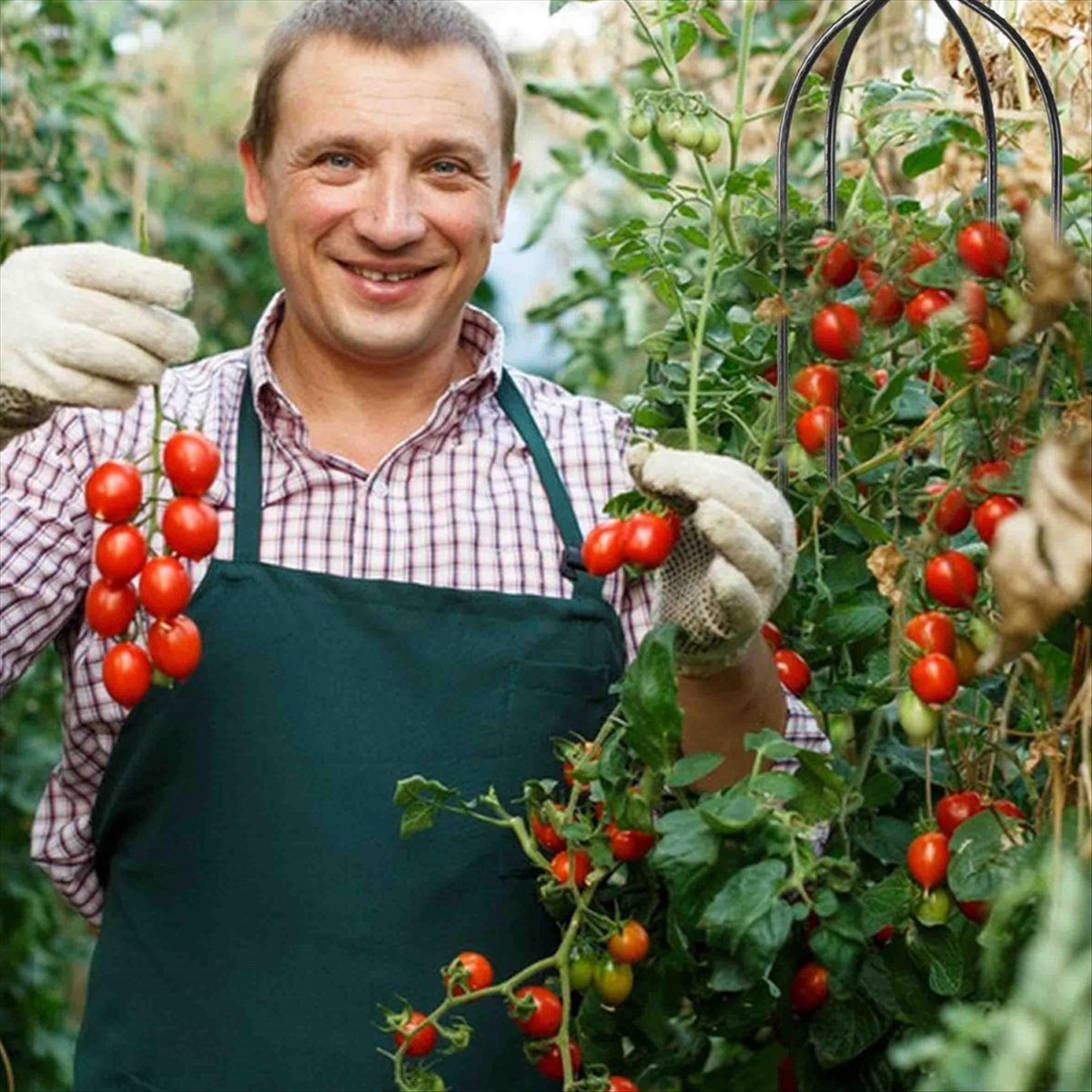 Treliça Obelisco para Plantas  - Gardening Tools B&Q avaliação e preço