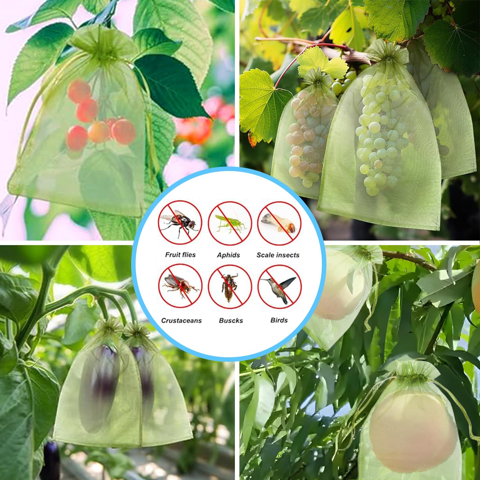 Rede Anti-Pássaros Eficaz, Sac - Garden Netting Cover avaliação e preço