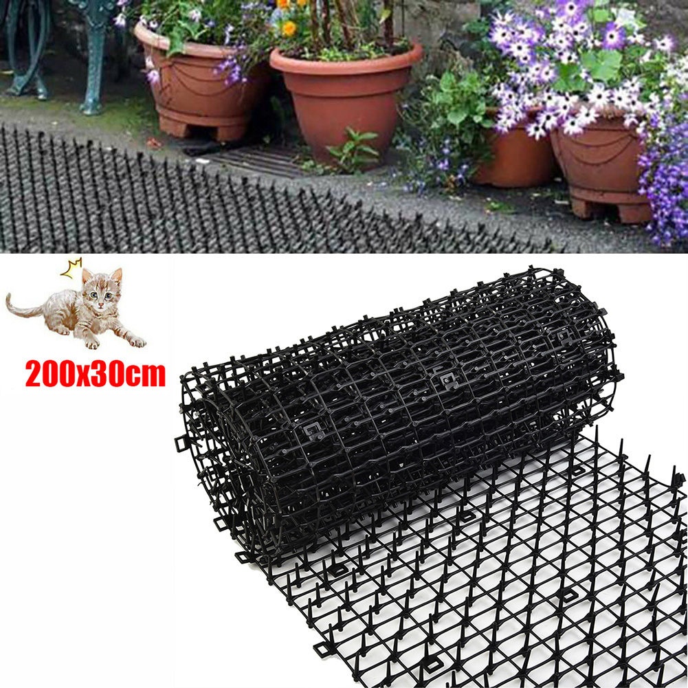 2m jardinagem pragas cão gato  - Gardening Tools For Digging avaliação e preço