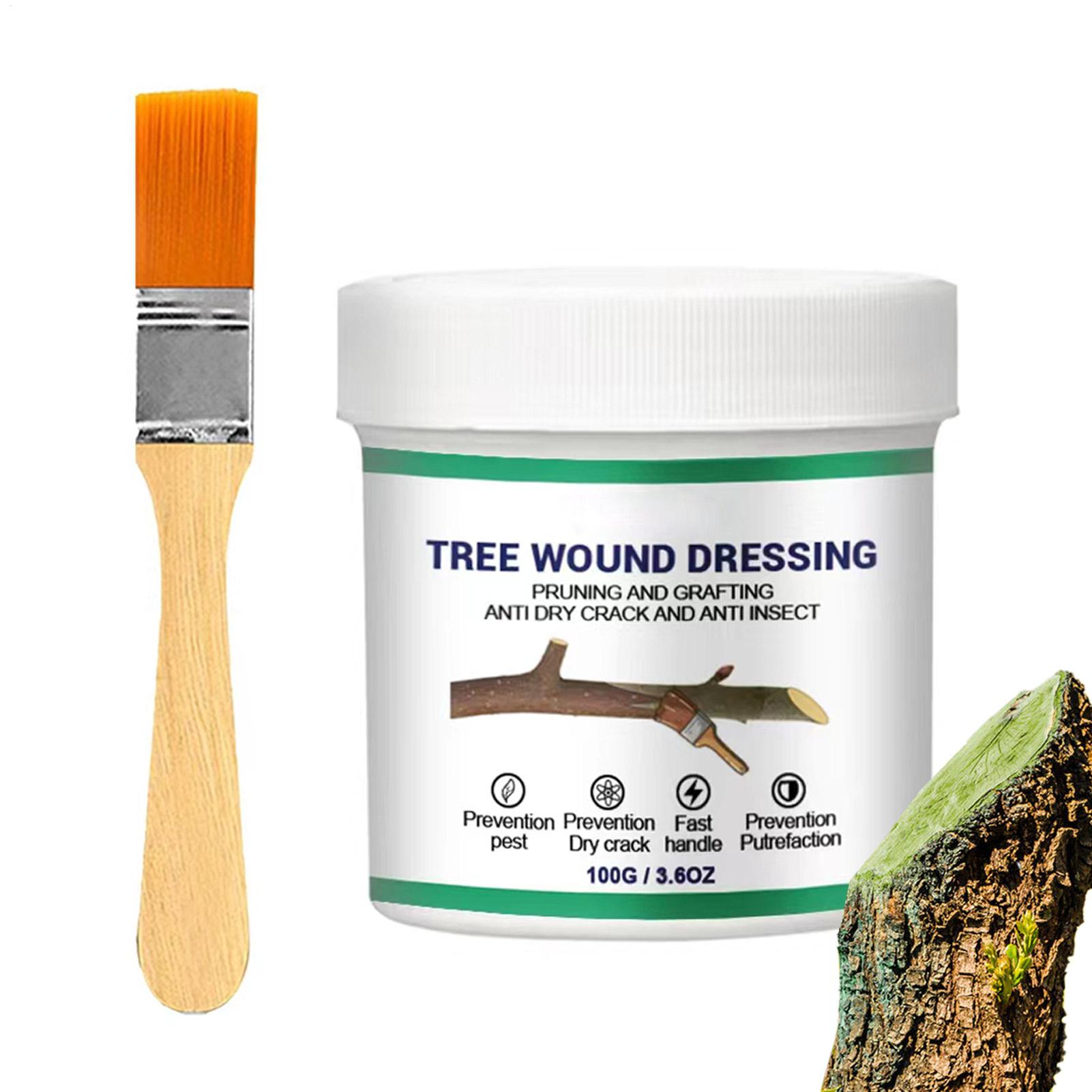 Pasta para Enxertia de Árvores - Gardening Tools For Women avaliação e preço